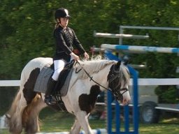 img-98441-562